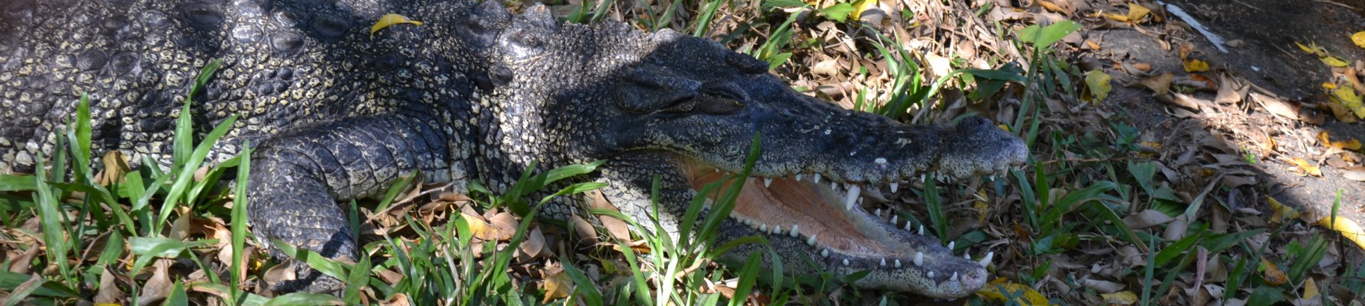 Elders Insurance Darwin Elders Insurance